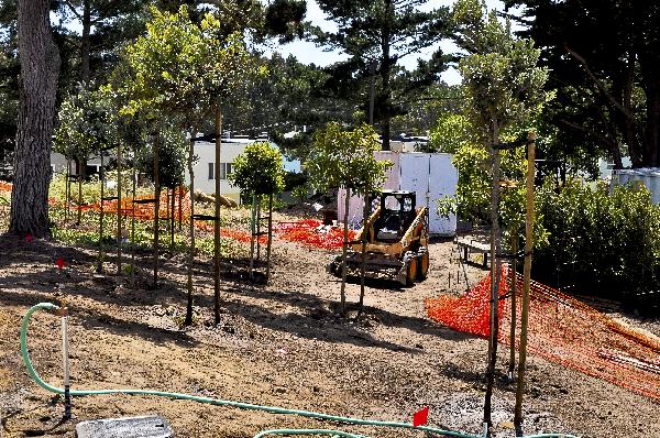 Edgewood garden construction week of 4.27.2011